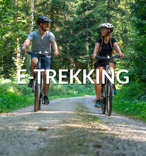 Trekking E-Bike