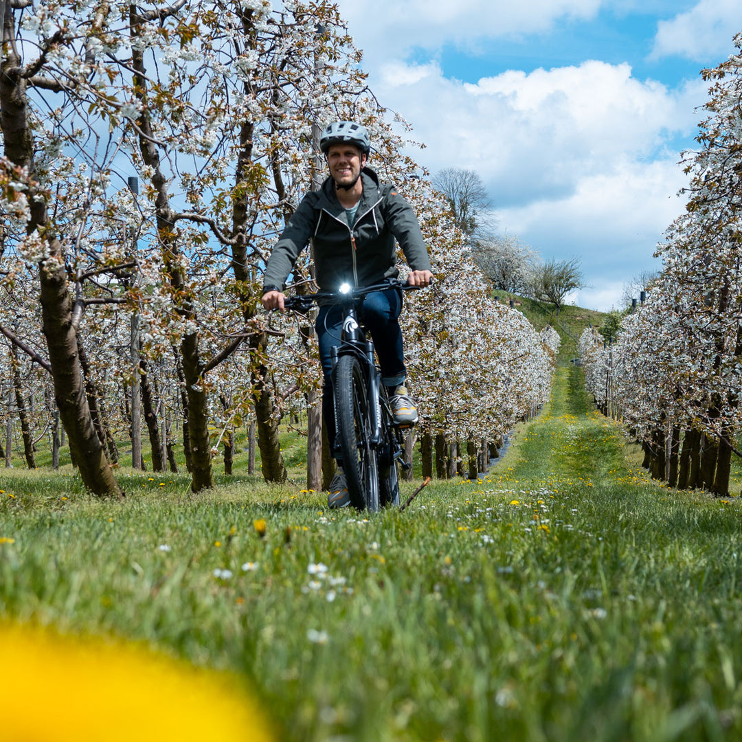 cylan-e-trekking-bike-ausflug-fruehling-gelaende