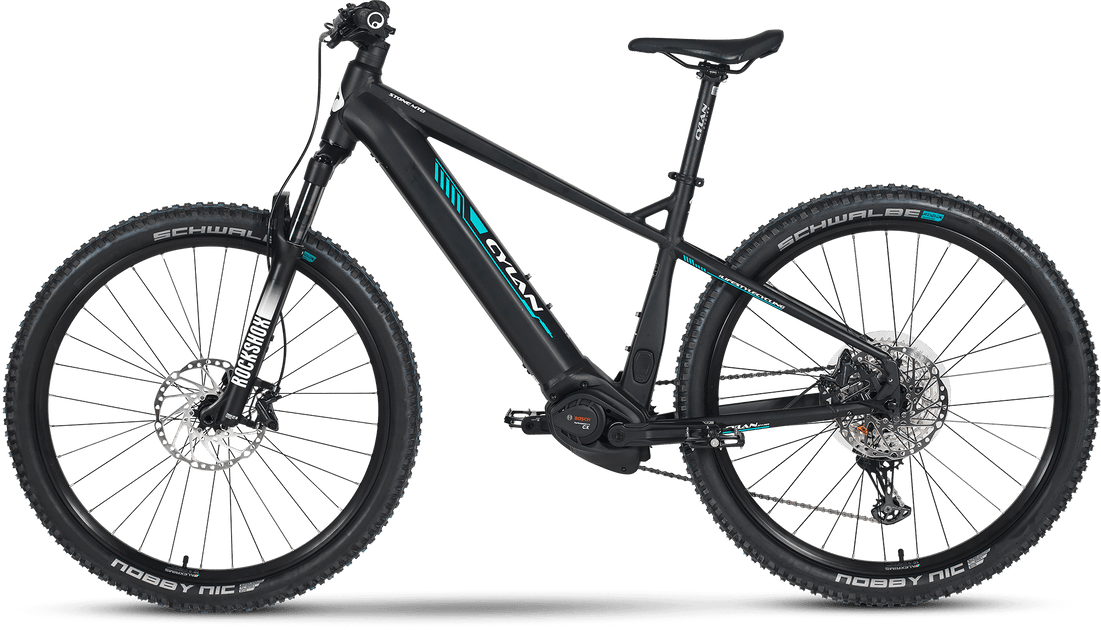 Mtb ebikes online
