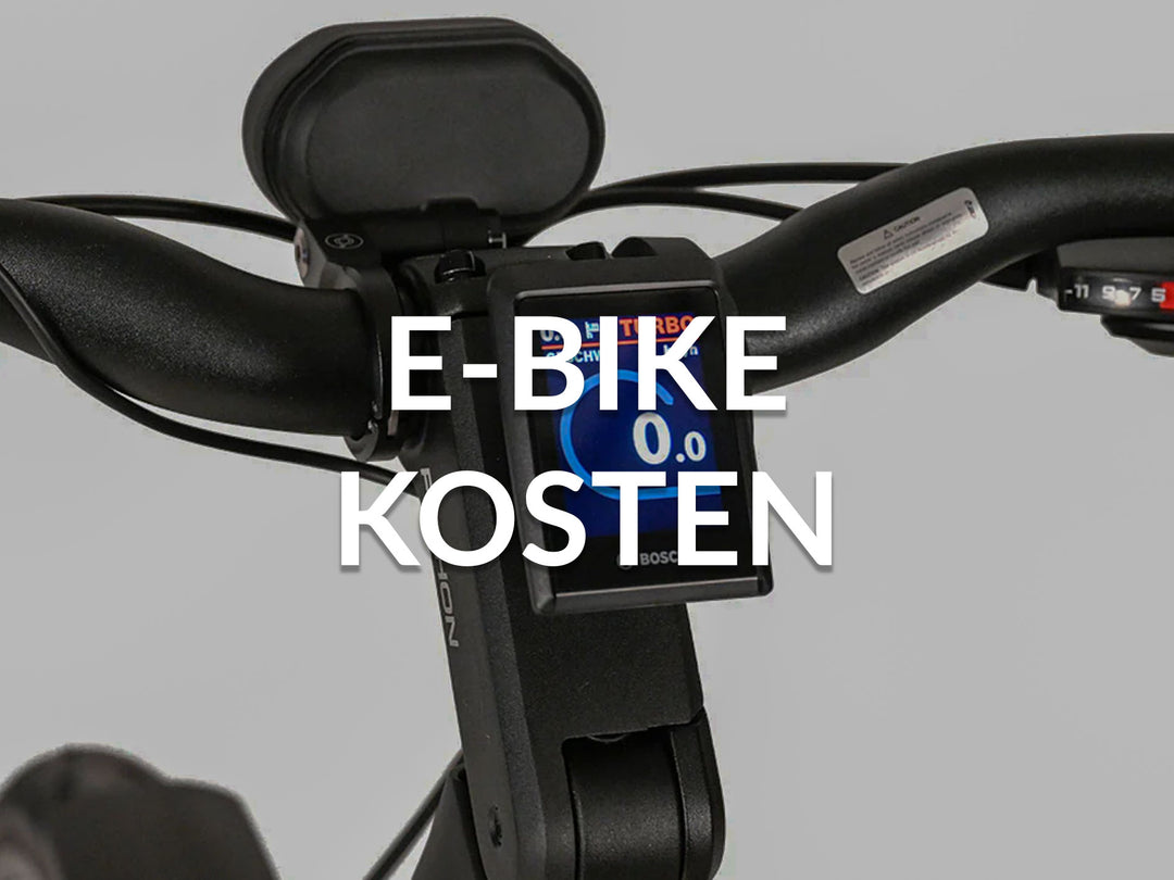 Wie viel kostet ein gutes E-Bike?