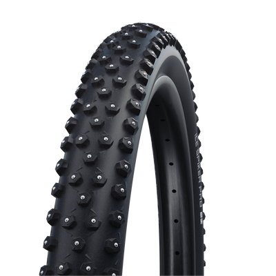 Schwalbe winter online